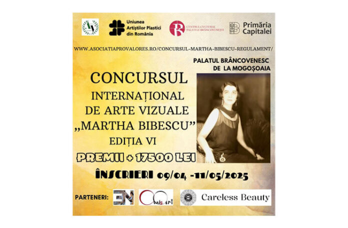 concurs arta plastica (1)