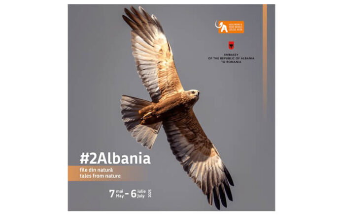 muzeul antipa albania (1)