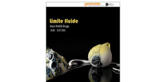 Știri: Vernisajul expoziției „Limite fluide” (19 iunie 2025, București) galeria galateea (1)