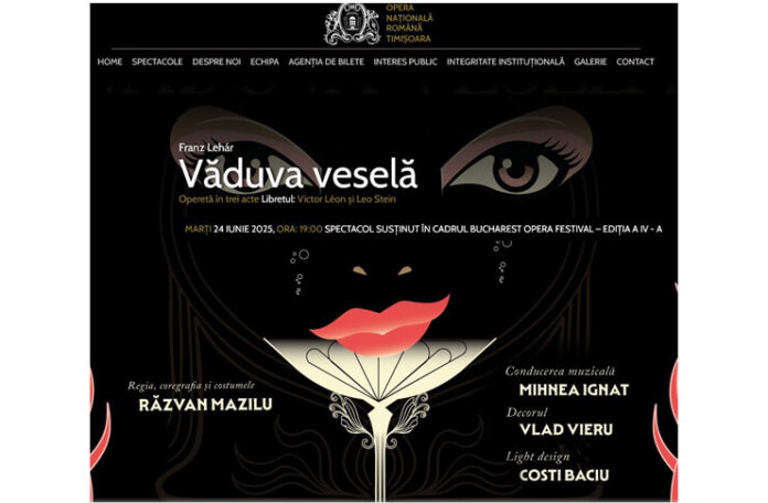 vaduva vesela timisoara (1)