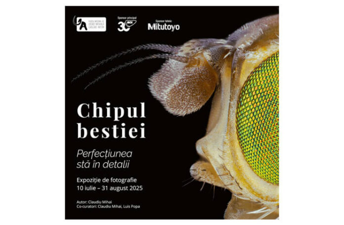 muzeul antipa (1)