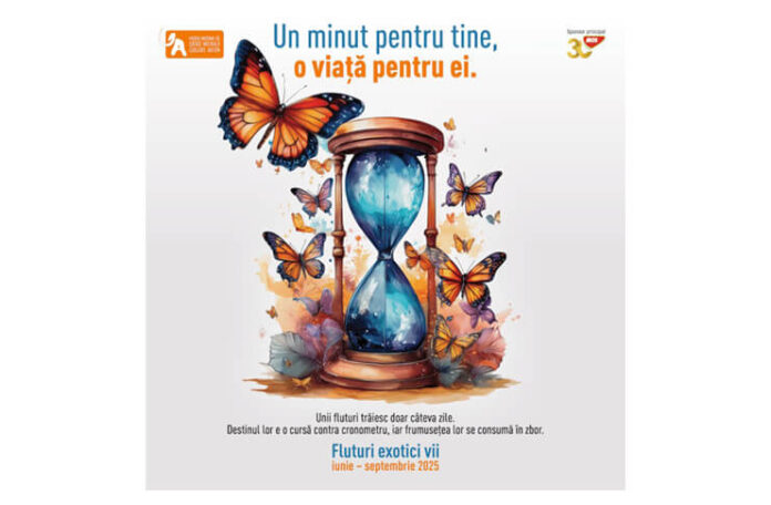muzeul antipa fluturi (1)