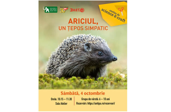 ariciul muzeul antipa (1)