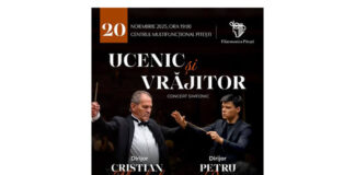ucenic si vrajitor pitesti (1)