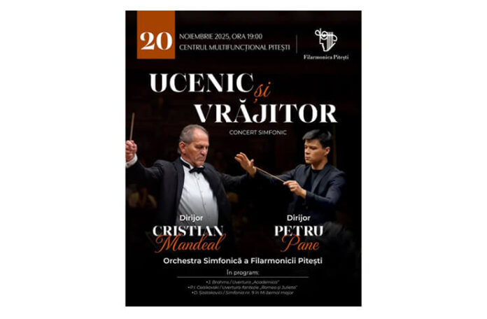 ucenic si vrajitor pitesti (1)