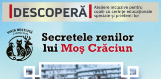 Descoperă. „Secretele renilor lui Moș Crăciun” (15 decembrie 2025, Muzeul Național de Istorie Naturală „Grigore Antipa”)