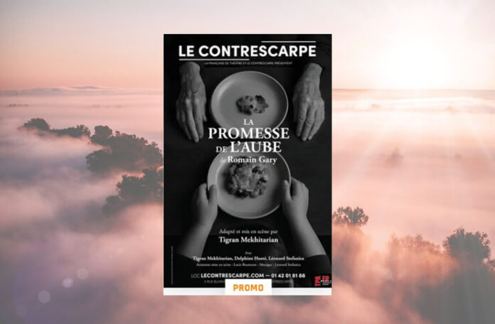 la promesse de l aube (1)