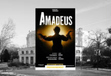 amadeus theatre marigny paris (1)