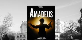 amadeus theatre marigny paris (1)