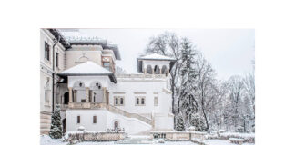 muzeul național cotroceni (1)