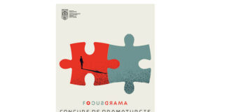 teatrul de nord concurs (1)
