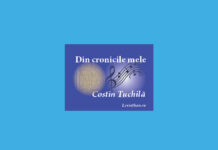 rubrica din cronicile mele costin tuchila leviathan.ro (1)