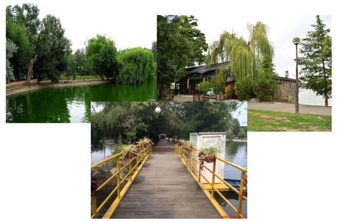 parcul bordei pusa roth amintirile bucurestilor