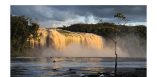 Parcul Național Canaima, Venezuela