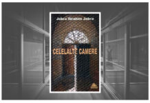 cronica celelalte camere jabra ibrahim jabra costin tuchila