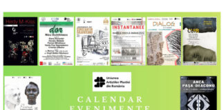 expozitii uap (1)