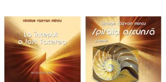 nicolae razvan mincu poeme (1)