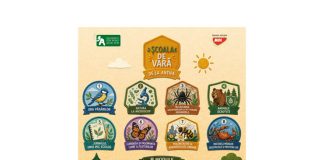 scoala de vara antipa buc (1)