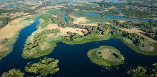 Știri: Delta Dunării va fi promovată la Madrid printr-o expoziție fotografică, organizată în perioada 14 iulie–28 august 2026