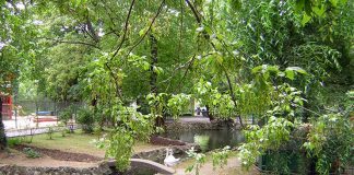 „Grădina Cișmigiu (1)” de Pușa Roth Cismigiu-Garden-Bucharest-2 (1)