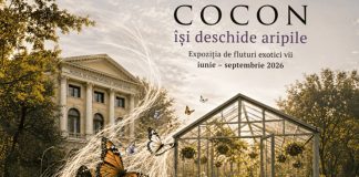 expo_fluturi_cocon-sera (1)
