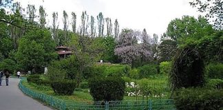 „Grădinile uitate ale Bucureștilor (2)” de Pușa Roth gradini bucurestene pusa roth (1)
