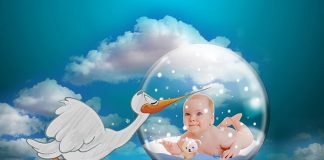 jorono-infant-2710265_1920 (1)
