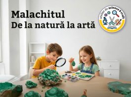 Știri: Malachitul – De la natură la artă – atelier de science&craft (12 septembrie 2026, Muzeul Național de Istorie Naturală „Grigore Antipa” din București) 12-sept_atelier-sciencecraft_malachit