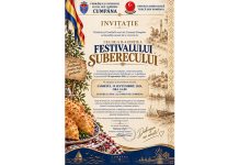 festivalul șuberecului (1)