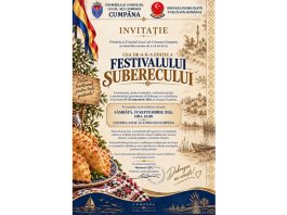 festivalul șuberecului (1)