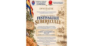 festivalul șuberecului (1)