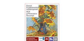 mmb pinacoteca (1)