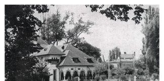 restaurant monte carlo cismigiu