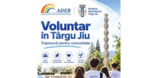 voluntar in targu jiu (1)
