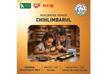 Știri: Aurul Pădurilor Străvechi: Secretele Chihlimbarului (24 octombrie 2026, Muzeul Național de Istorie Naturală „Grigore Antipa”, București) chihlimbarul muzeul antipa (1)