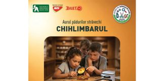chihlimbarul muzeul antipa (1)