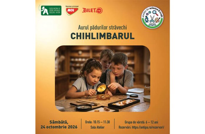 chihlimbarul muzeul antipa (1)