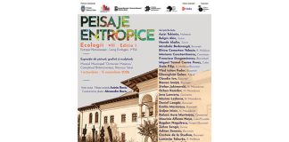peisaje expozitie (1)